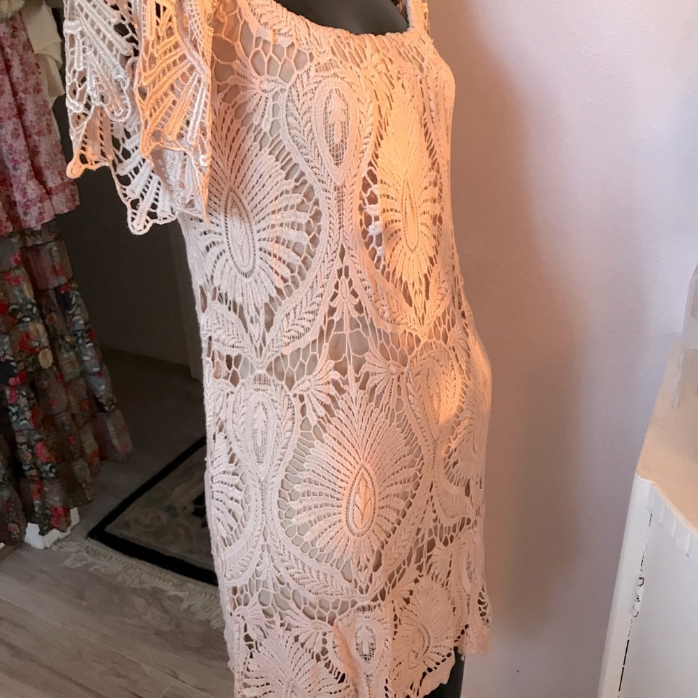 Sky lace petal pink dress.